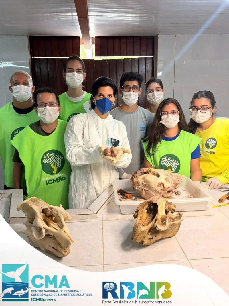 Taller con CMA/ICMBio