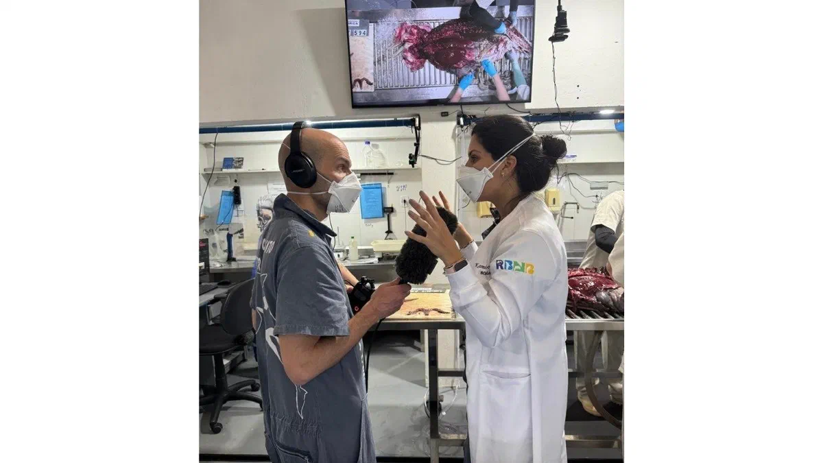 Ari Daniel, repórter da NPR, entrevista a Dra. Kamilla Avelino de Souza
